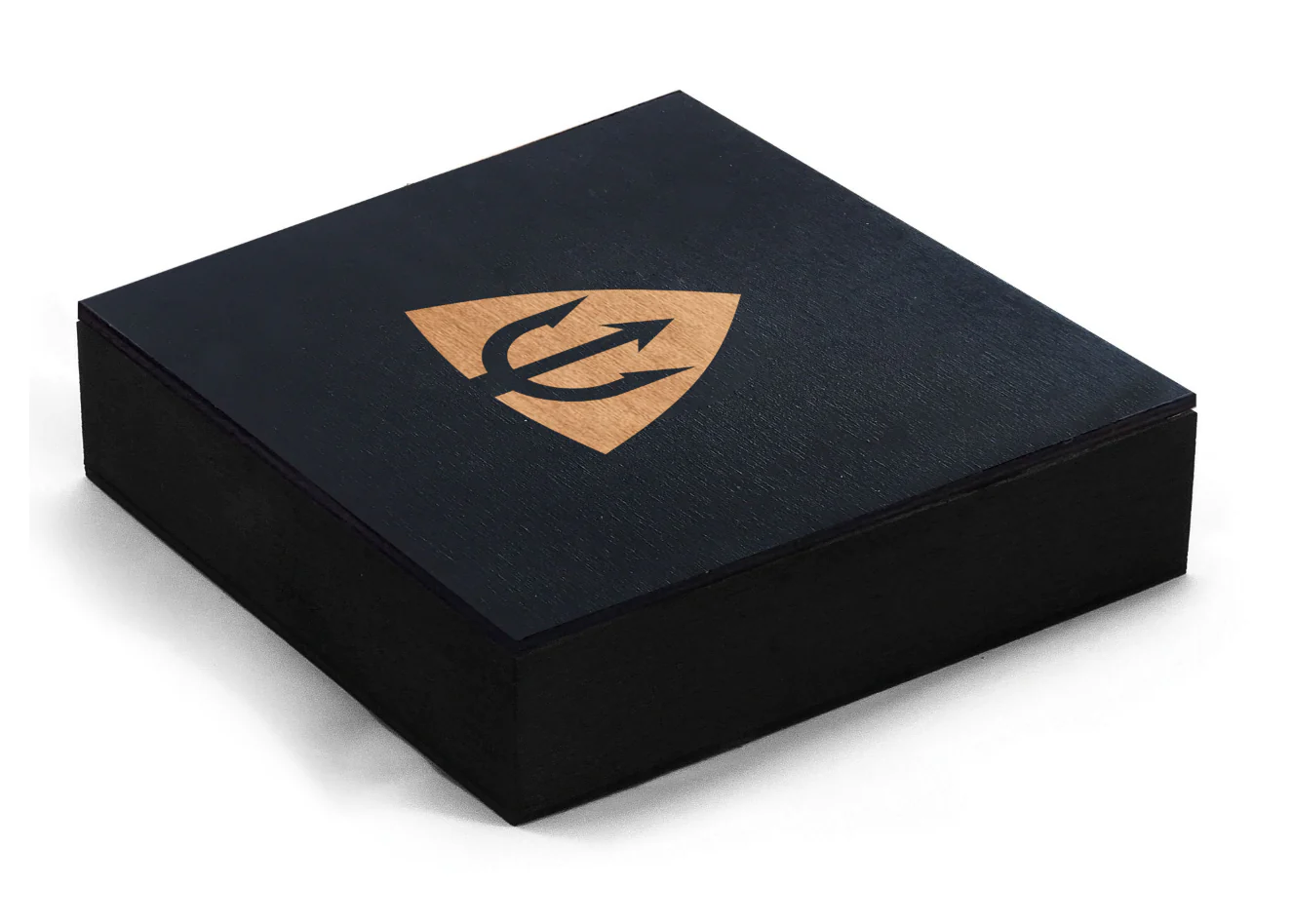 Подарочная коробочка NEPTN